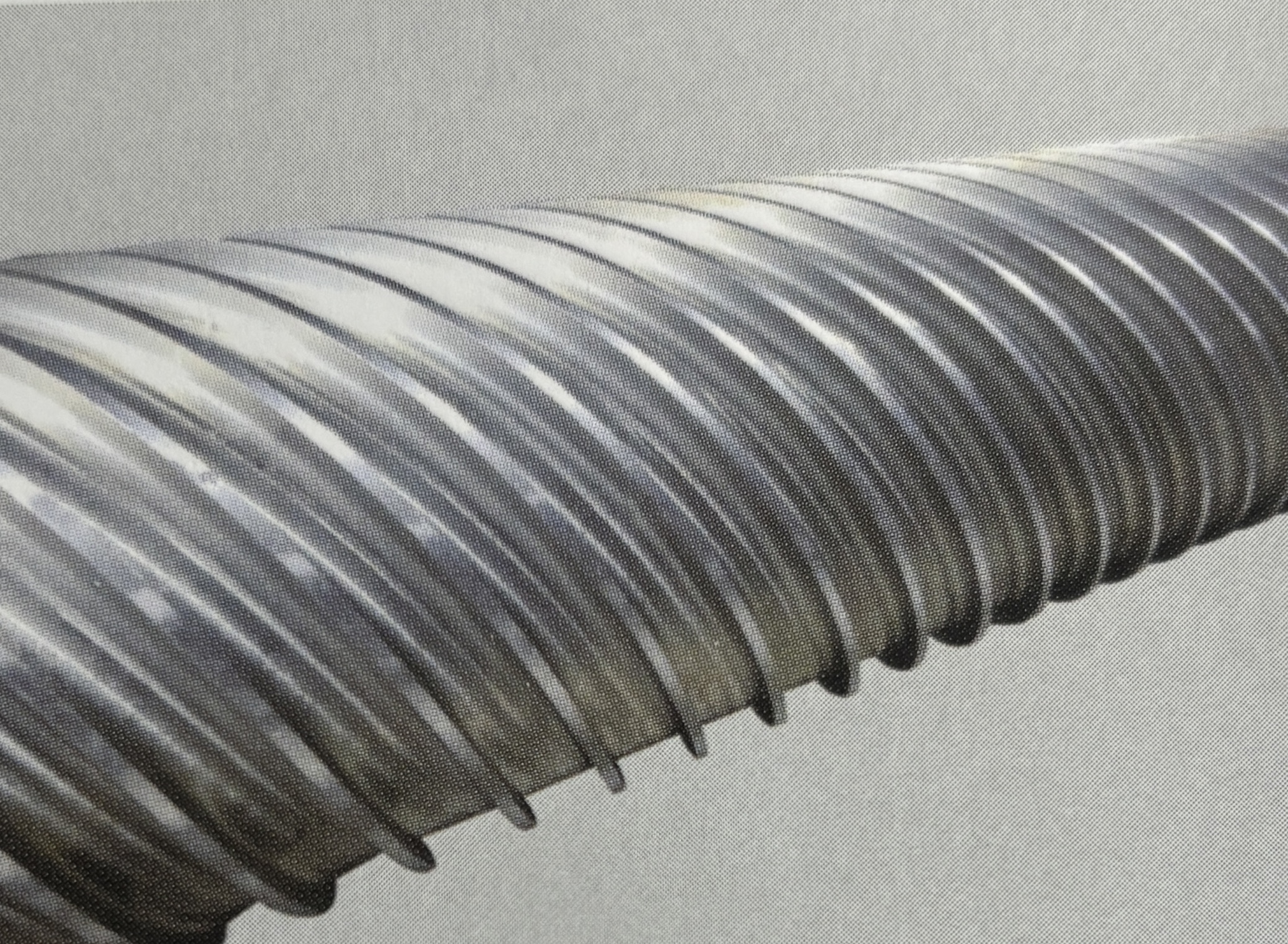 Rouleau efficace à paroi mince